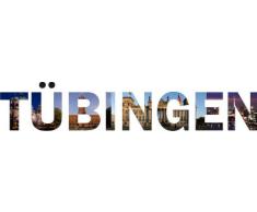Wandtattoo farbige Wandschrift Städtename Tübingen mit Sehenswürdigkeiten 180 x 27 cm Länge