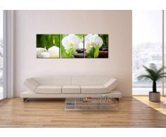 Bild auf Leinwand - Leinwandbilder - drei Teile - Breite: 150cm, Höhe: 50cm - Bildnummer 2718 - dreiteilig - mehrteilig - zum Aufhängen bereit - Bilder - Kunstdruck - CA150x50-2718
