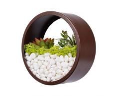 Wand-Pflanzgefäße,Hänge-Blumenvase,Töpfe,Sukkulenten-Übertopf,Hängetöpfen,Bonsai Pflanzkübel, Durchsichtig Terrarien,Wand decor,Modern,Rund,Metall,Eisen,Vertikal,Wandmontage,Wohnkultur,für Indoor