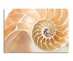 XXL Fotoleinwand 120x80cm Naturfotografie – Perlboot Muschel auf Leinwand exklusives Wandbild moderne Fotografie für ihre Wand in vielen Größen