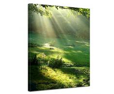 Bilderdepot24 Kunstdruck - Wiese - Bild auf Leinwand - 90x120 cm 1 teilig - Leinwandbilder - Bilder als Leinwanddruck - Wandbild Landschaften - Natur - Sonnenstrahlen auf einer grünen Wiese