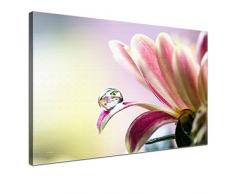 LANA KK - Leinwandbild Lenz mit Blumen auf Echtholz-Keilrahmen â Frühling und Natur Fotoleinwand-Kunstdruck in rosa, einteilig & fertig gerahmt in 100x70cm