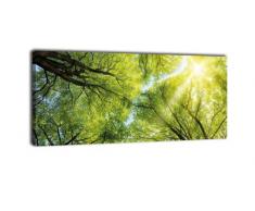 Leinwandbild Panorama Nr. 339 Baumkronen 100x40cm, Keilrahmenbild, Bild auf Leinwand, Wald Natur Geäst