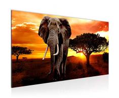 Bilder Afrika Elefant Wandbild Vlies - Leinwand Bild XXL Format Wandbilder Wohnzimmer Wohnung Deko Kunstdrucke Orang 1 Teilig - MADE IN GERMANY - Fertig zum Aufhängen 001212a