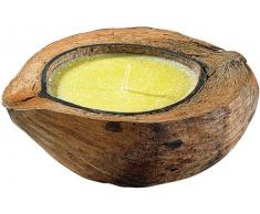 infactory Anti-Mücken-Kerze in Kokosnuss-Schale
