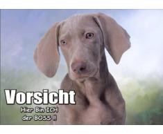 PEMA INDIGOS UG - Türschild FunSchild - SE705 DIN A4 Achtung Hund Weimaraner - für Käfig, Zwinger, Haustier, Tür, Tier, Aquarium - aus hochwertigem Alu-Dibond beschriftet sehr stabil