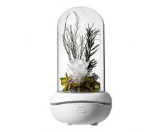 QWER Wesentliche Waterless Öl Aroma Diffuser Duft-Maschine USB aufladbare Aromatherapie-Diffusor für Öl Led-Leuchten,B