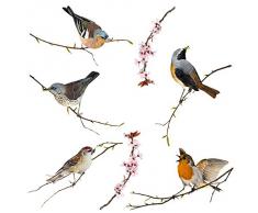 Komar 16003, Bunt Window-Sticker BIRDS Fensterdeko, Ornithologie, Fenstersticker, Fensterfolie, Vogel, Blaumeise, Vogelschaar, Vintage-16003, 31 x 31 cm, 2 Bogen