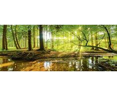 Artland Glasbilder Wandbild Glas Bild einteilig 125x50 cm Querformat Wald Natur Landschaft Bäume Bach Sonne Frühling T9IO