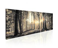 murando - Bilder Wald 150x50 cm Vlies Leinwandbild 1 TLG Kunstdruck modern Wandbilder XXL Wanddekoration Design Wand Bild - Waldlandschaft Natur Panorama Baum c-B-0077-b-c
