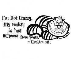 Cheshire Katze Wandsticker Zitat Vinyl Aufkleber Alice im Wunderland Aufkleber Kinderzimmer Schlafzimmer Home Decor Innen Design Art Wandbild MN901