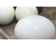 Klocke Osterdekoration Hochwertiges Natur Straußenei - Elfenbein Weiß - 1 Stück - Höhe: 15cm / Ø 13cm - Das Original aus Südafrika - Geeignet zum Dekorieren
