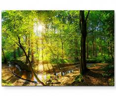 Paul Sinus Art Leinwandbilder | Bilder Leinwand 120x80cm Wald im Sonnenschein