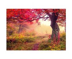 Vlies Fototapete 350x245 cm - Top ! PREMIUM PLUS Foto Tapete ! Wandbilder XXL Wandbild Bild Fototapeten Tapeten Wandtapete Wanddeko Wand Wald Bäume Herbst - no. 258