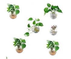 Orimina 6 Stück Glas Pflanzgefäßen Wandbehang Pflanzgefäße Rund Glas Pflanztöpfe Aufhängen Air Pflanzschalen Flower Vase Air Plant Terrarien Wand Pflanztopf Zum Aufhängen, 12 cm Durchmesser