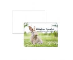 15 x Postkarten zu Ostern mit Umschlägen im Set/Osterkarten modern Oster Hase auf der Wiese/Osterpostkarten