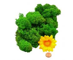 Muwse Island-moos V 25g Gras-grün vor-gereinig weich haltbar. Deko-moos Floristik-moos Bastel-moos