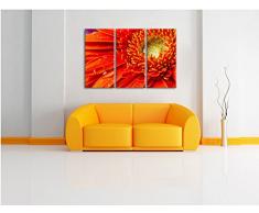 Tautropfen auf roter Blume 3-Teiler Leinwandbild 120x80 Bild auf Leinwand, XXL riesige Bilder fertig gerahmt mit Keilrahmen, Kunstdruck auf Wandbild mit Rahmen, gänstiger als Gemälde oder Ölbild, kein Poster oder Plakat