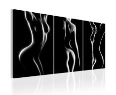 murando - Bilder 60x30 cm Vlies Leinwandbild 3 Teilig Kunstdruck modern Wandbilder XXL Wanddekoration Design Wand Bild - Frau AKT Erotik Schwarz weiß Silhouette h-B-0052-b-e