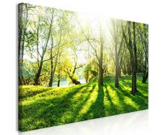 murando Wandbild Mega XXXL Bäume 160x80 cm Einteiliger XXL-Format Kunstdruck zur Selbstmontage Leinwandbilder Moderne Bilder DIY Wanddekoration Wohnung Deko Natur c-B-0053-ak-e