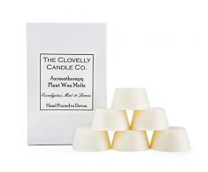 Clovelly Soap Co. Handgemachtes natürliches Soja-Duftwachs-Set Eukalyptus Aromatherapie 6 Stück