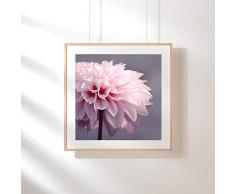 Fotografie Print Kunstdruck 12x12cm Dahlie quadratisch rosa Blüte Flower