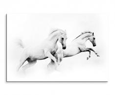 Paul Sinus Art Kunstfoto auf Leinwand 60x40cm Künstlerische Fotografie - Zwei Weiße Pferde auf Leinwand Exklusives Wandbild Moderne Fotografie für Ihre Wand in Vielen Größen