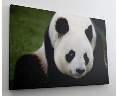 Panda Bär Wildnis Asien Leinwand Bild Wandbild Kunstdruck L1094 Größe 150 cm x 100 cm