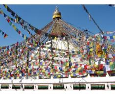 BUDDHAFIGUREN/Billy Held Buddhistische Gebetsfahnen 8,1 m Länge, 25 Blatt - Jede Fahne hat eine Größe von 34X37 cm, feine Qualität Buddha Dekoration