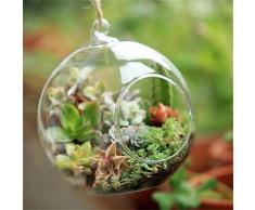 SJZS Vasen Terrarium-Kugel-Kugel-Form-freie hängende Glasvasen-Blumen-Pflanzen Container Ornament Micro Landschaft DIY Hochzeit Home Decor (Color : White)