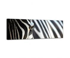 Kunstdruck mit Winter SALE Zebra Bild auf Leinwand - 160 x 50 cm - Leinwandbilder - Bilder als Leinwanddruck - Wandbild von Bilderdepot24 - Tierwelten - Natur - Afrika - gestreiftes Tier