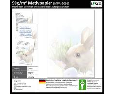 Motiv Briefpapier (Ostern-5096, DIN A4, 25 Blatt) Briefpapier mit Osterhase Ostereiern Ostergras und Osterblumen