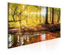 murando - Bilder Wald 120x60 cm Vlies Leinwandbild 1 TLG Kunstdruck modern Wandbilder XXL Wanddekoration Design Wand Bild - Baum Natur Landschaft c-B-0174-b-a