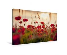 Premium Textil-Leinwand 90 x 60 cm Quer-Format Mohnblumen im Abendlicht | Wandbild, HD-Bild auf Keilrahmen, Fertigbild auf hochwertigem Vlies, Leinwanddruck von Lain Jackson