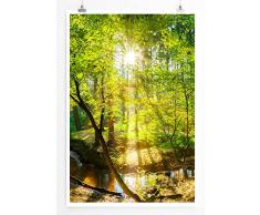 Eau Zone Bilder - Landschaft Natur – Waldbach in der Sonne- Leinwand Kunstdrucke Wandbilder aus Deutschland