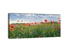 wandmotiv24 Leinwandbild Panorama Nr. 401 Blumenwiese 100x40cm, Keilrahmenbild, Bild auf Leinwand, Feld Sommer Blüten