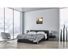 Bild auf Leinwand - Leinwandbilder - Einteilig - Breite: 50cm, Höhe: 50cm - Bildnummer 3158 - zum Aufhängen bereit - Bilder - Kunstdruck - AC50x50-3158