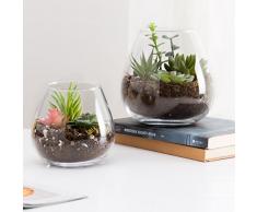 Set aus 2 dekorativen Glas-Displays, moderne, runde, klare Vasen/Schalen Kerzenleuchter/Terrarien