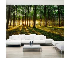 murando® Vlies Fototapete 500x280 cm - Größe Format XXL- 3 Farben zur Auswahl - Top Tapete 5m Wandbilder Wandbild Bild Fototapeten Tapeten Wandtapete Wald Natur Landschaft Bäume c-B-0127-x-b