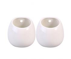 winomo 2 Keramik Töpfe Aufhängen Pflanzgefäß Wand Blumenvase Sukkulente Töpfe ohne Loch (weiß)
