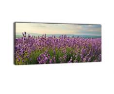 Leinwandbild Panorama Nr. 338 Lavendel 100x40cm, Keilrahmenbild, Bild auf Leinwand, Frankreich Provence Blüten