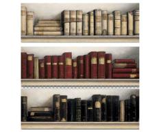 3 er Set große Wandbilder Bücherregal je 30 cm x 90 cm Buch Bücher Bild Rot Schwarz Natur