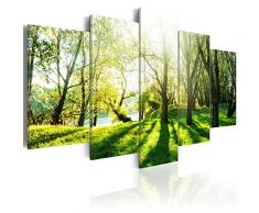 murando - Bilder 200x100 cm Vlies Leinwandbild 5 TLG Kunstdruck modern Wandbilder XXL Wanddekoration Design Wand Bild - Natur Bäume Wald Park c-B-0030-b-n