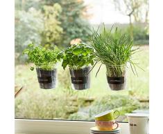 Kräutertopf-Trio Basil für Küchenfenster inkl. Beschriftungsfolie und Kreide | Fresh Herbs Trio | Kräuter | Garten | Kräutergarten | Fensterdekoration | Geschenk | Ø 13 cm | Höhe: 16 cm