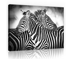 FORWALL Leinwandbild Kunstdruck Wandbild Zebras O7 (50cm. x 70cm.) AMFPP10092O7 Gratis Wandaufkleber Canvas Picture Print Natur Wild Tier Tiere Afrika Schwarz Weiss Zebra