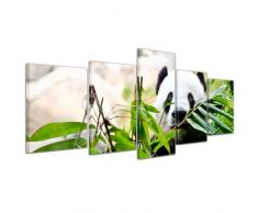 Wandbild - Pandabär - Bild auf Leinwand 200x80 cm 5 teilig - Leinwandbilder Bilder als Leinwanddruck Tierbild Wildtiere - bedrohte Tiere - China