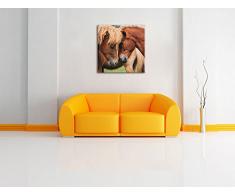 zwei schmusende Pferde, Format: 60x60 auf Leinwand, XXL riesige Bilder fertig gerahmt mit Keilrahmen, Kunstdruck auf Wandbild mit Rahmen, günstiger als Gemälde oder Ölbild, kein Poster oder Plakat