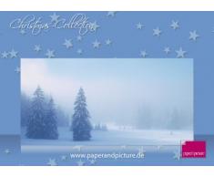 Weihnachtspapier Tanne im Schneewald, 20 Blatt Motivpapier 90g/qm und 20 passende Motivumschläge DIN LANG
