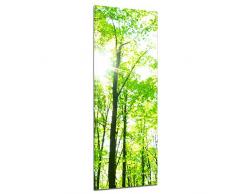 Keilrahmenbild - Grüner Wald - Bild auf Leinwand - 40x120 cm einteilig - Leinwandbilder - Landschaften - Baumkronen im Sonnenschein