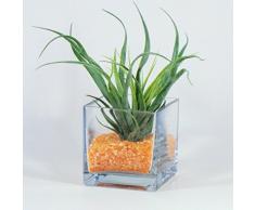 Sandra Rich 360016 Vase, Glas, transparent, 10 x 10 x 10 cm